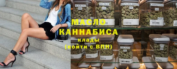 молекула духа Богородск
