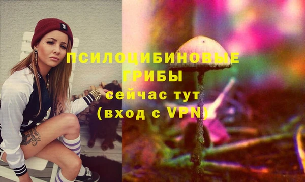 кокаин премиум Богданович