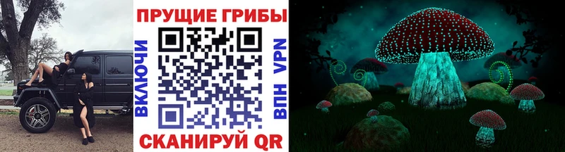 Псилоцибиновые грибы Magic Shrooms Котельниково