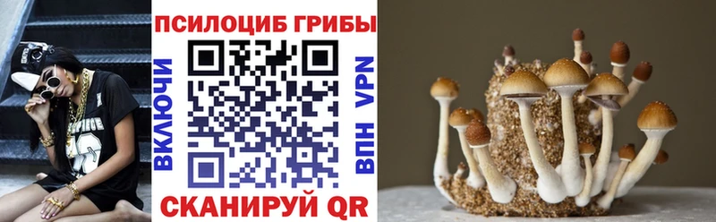 Псилоцибиновые грибы мицелий Котельниково